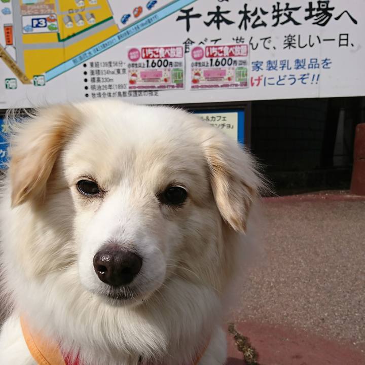 39d57af8 2ee7 42a7 bb92 45b48d4eb427