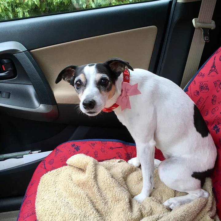 39d5bdbe 6fde 4b95 80ec 8cfe5ac6c590