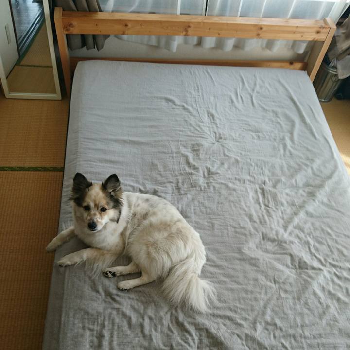 39d5beec c78d 4533 82d9 33925f21c589