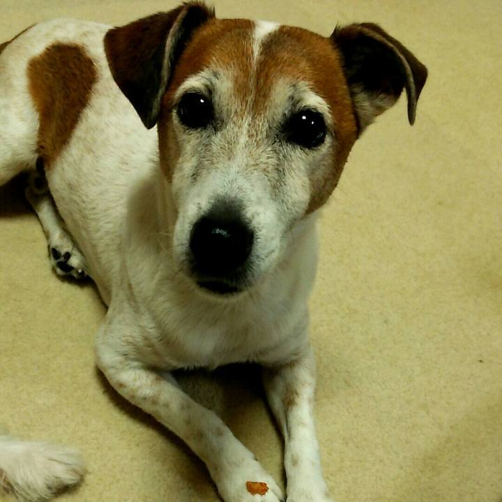 39d5f6da b23e 4ccd 9092 2d60958ea09c