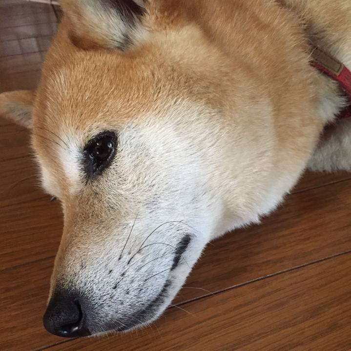 39d6ad71 4165 420b 926e d3aca6deb193