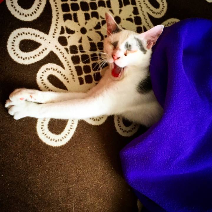 39d6c8df feae 45b7 95ae 6db1ef9395bb