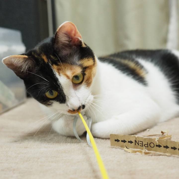 39d70cd2 a3f1 4c33 8404 03cfddb933eb