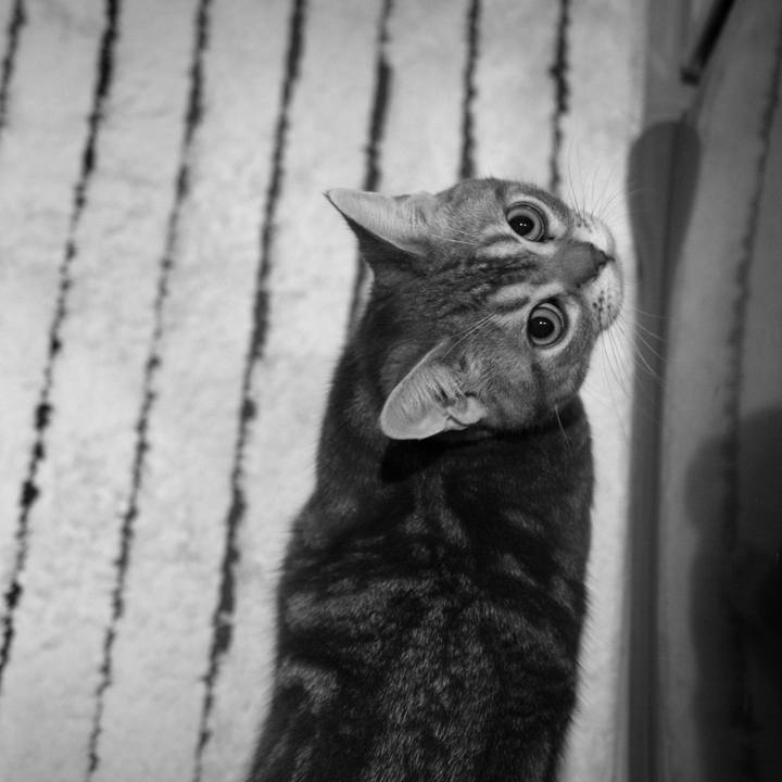 39d80448 123d 4aea b4f7 664c4213731a