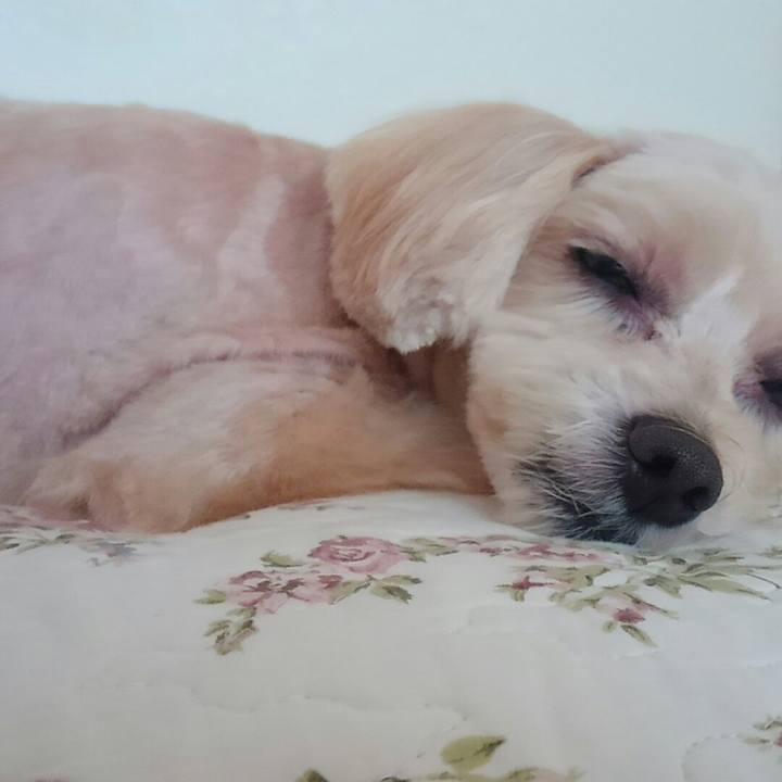 39d80f35 9fb0 475e 84d1 03087c8d1762