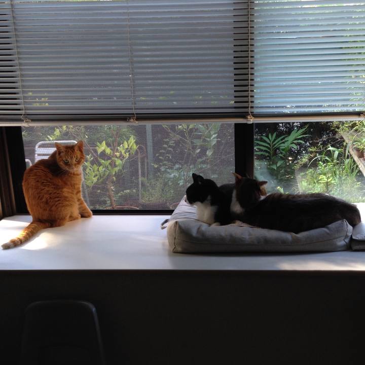 39d8cad4 2c40 40c1 9d28 765b3e6a03ef