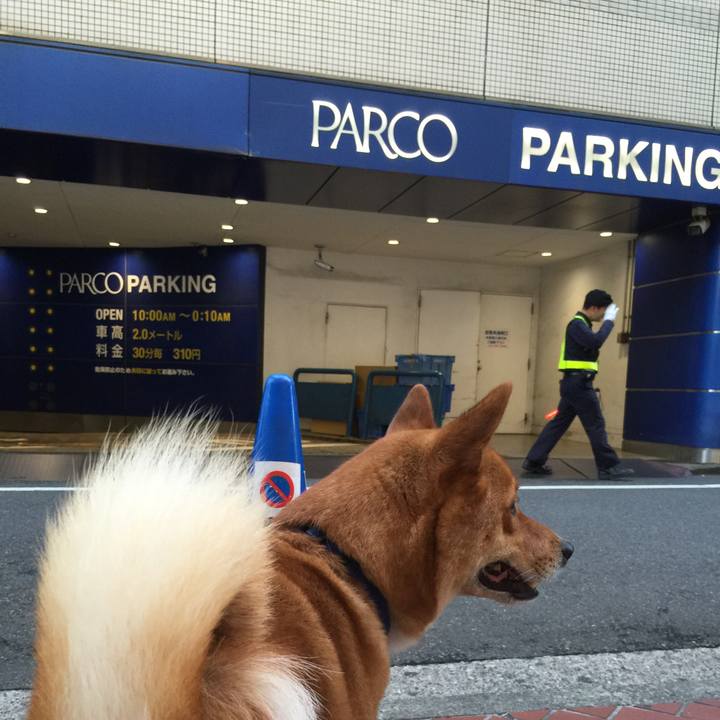 39d907bb 3f2a 43b6 a986 c6f4d63a56b6