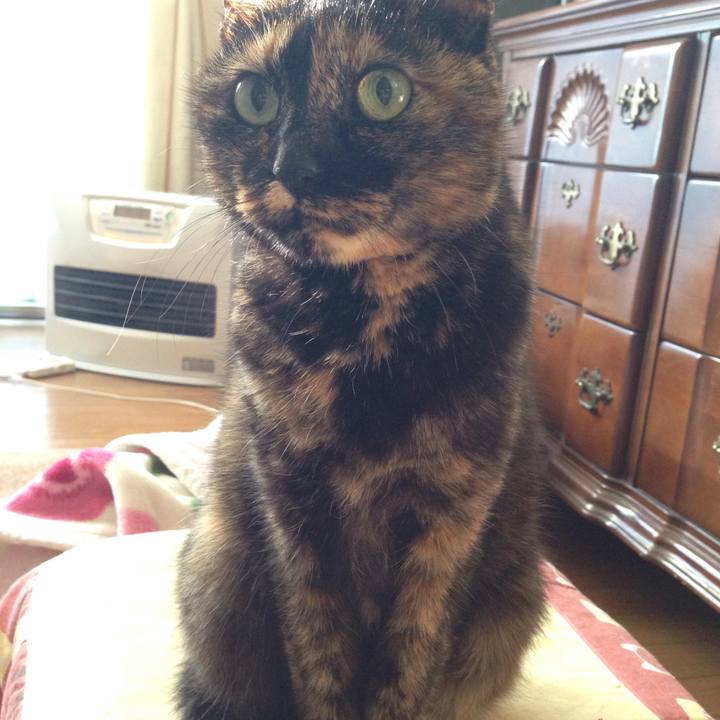 39d9c77b fa3e 4f9c bdcd 8d0050a98910