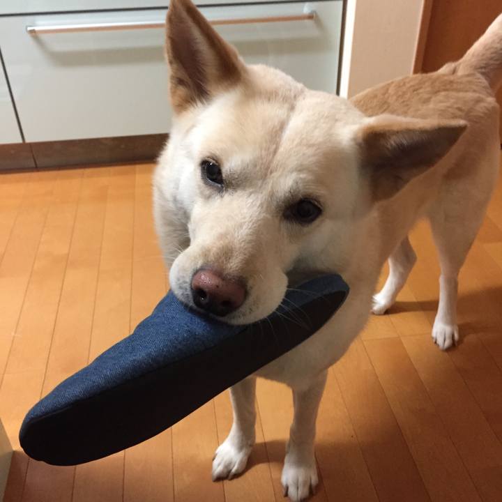 39d9f57c 5036 43a1 b984 bfa727bbedcf