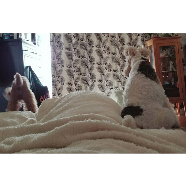 39da4df7 6b69 49ea a3fb 9fd92b173087