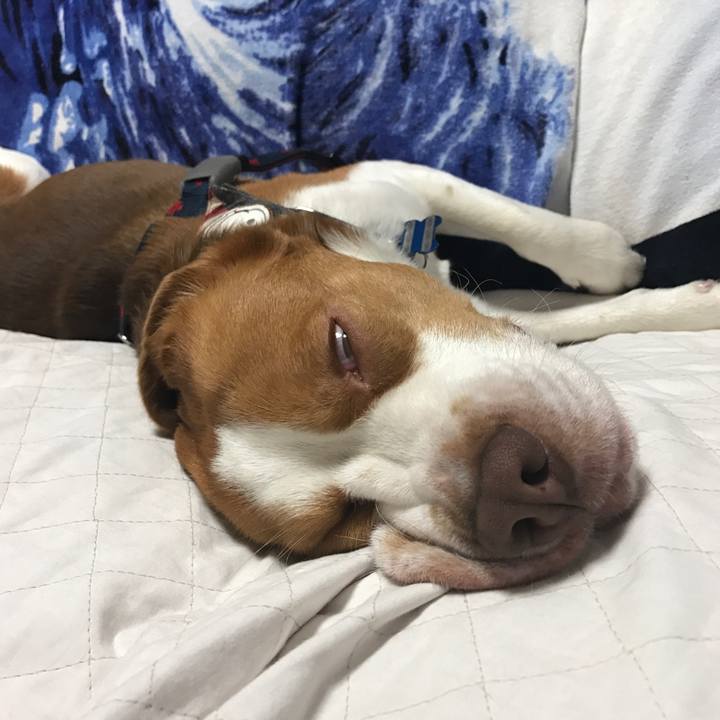 39da7439 d72e 4f8b b80a ea204008df09