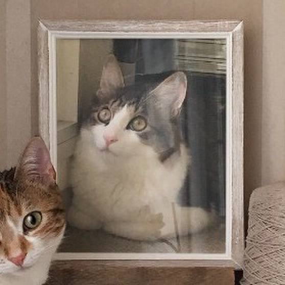 39dad5d5 94d0 4dde a77c 6f5cf82030d5