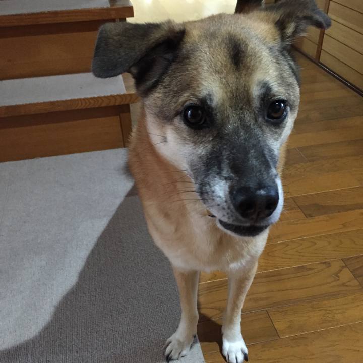 39dae5d4 76a9 4dae a986 860ead6e81ee