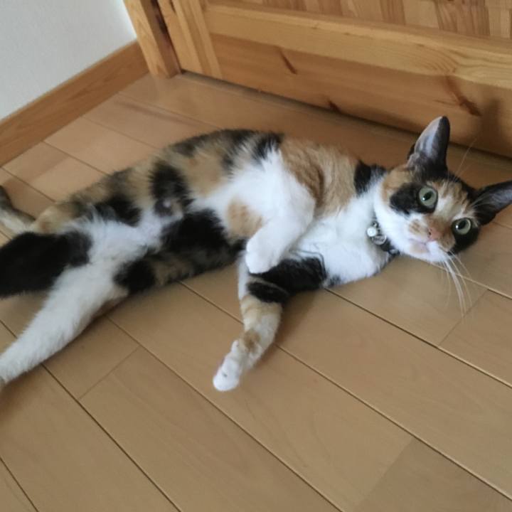 39db859a 5c5d 44e6 98b3 7b758da546fd