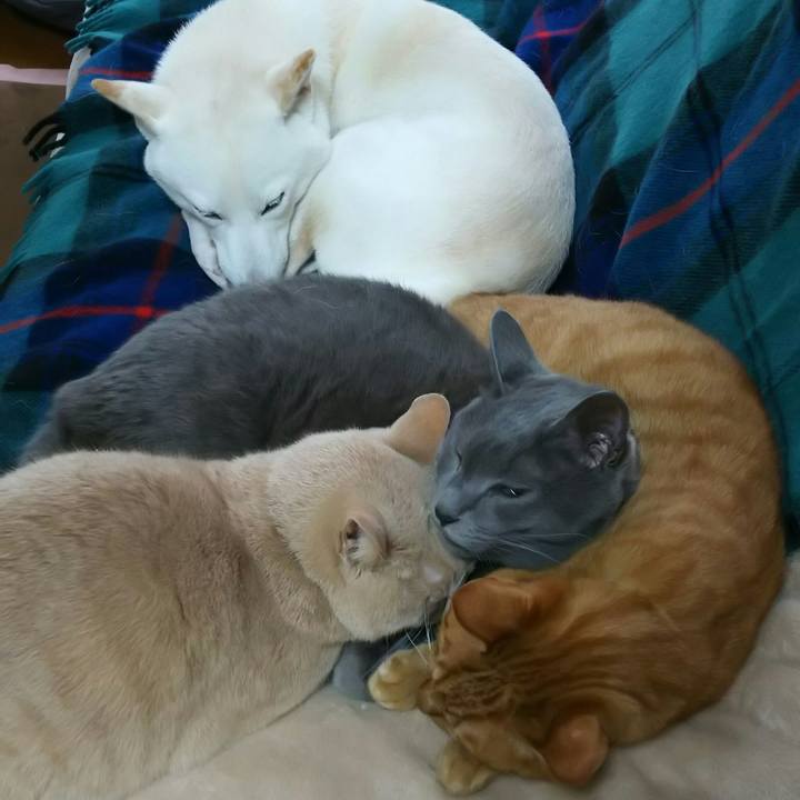 39dc9195 c6a5 4323 9d1e 7f895ac1dba4