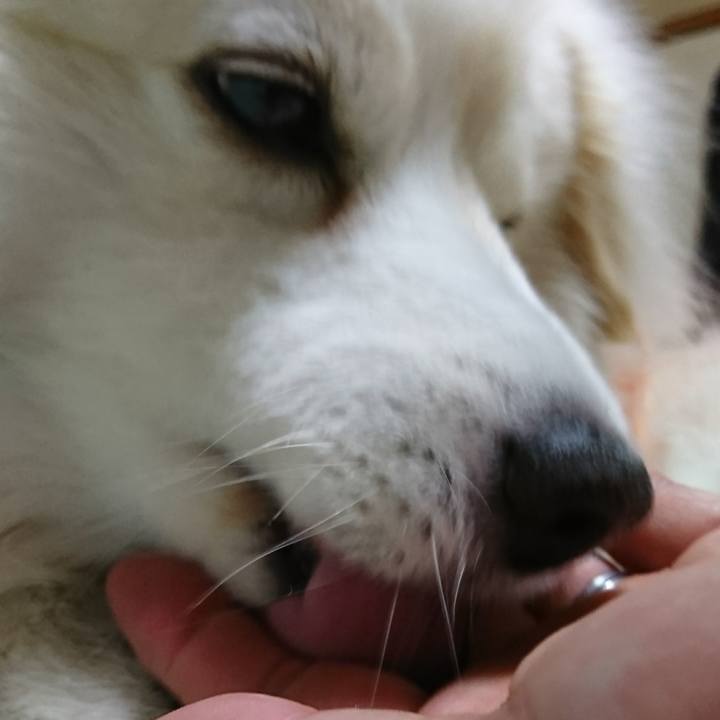 39dc98b3 a237 4a0e afa9 cf32d5227f57