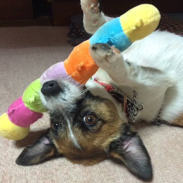 39dcf662 f78e 4356 adb1 7aa8321789d8