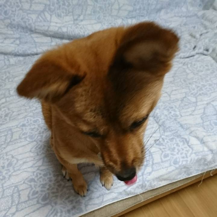 39dd21fa e130 4d4d a93f 6e4ac5754583