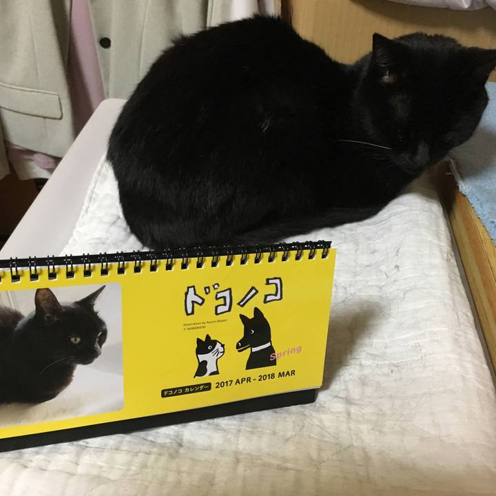 39dd7b99 051f 41ec 9ec1 a94f984041b5