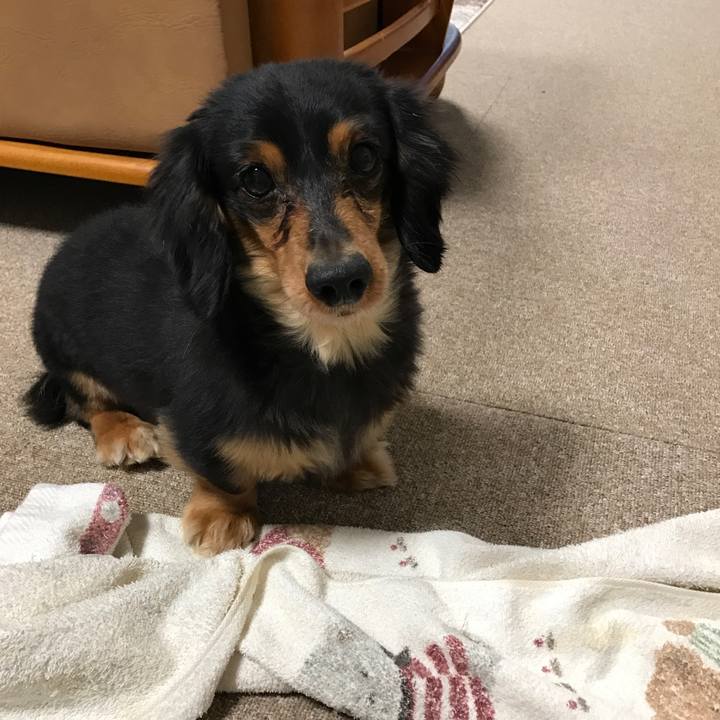 39dd8256 8dec 419f 940b 83279c433e20