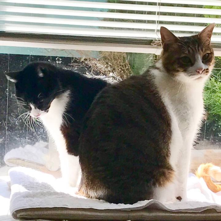 39dda072 7bb4 44db 84ef 4e4a8e74ebe1