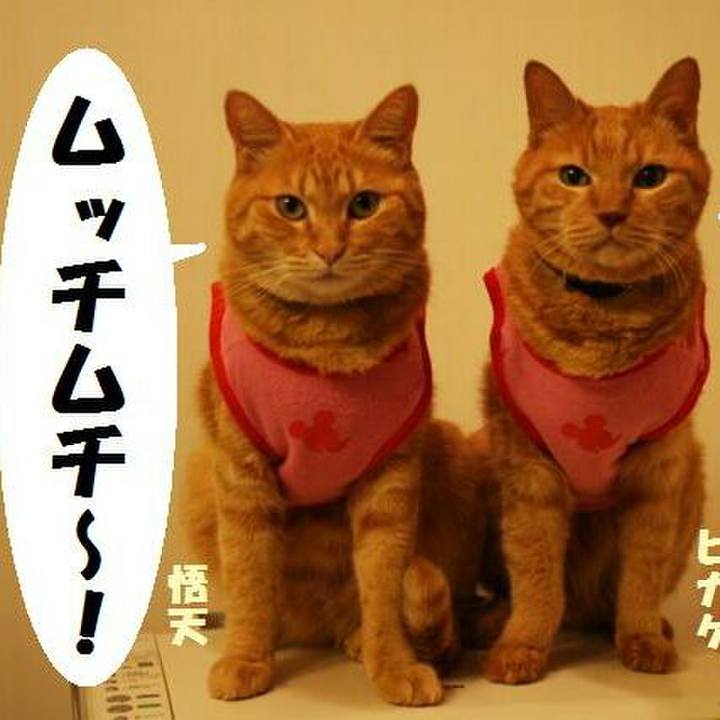 39dddf0a 0f5f 4814 bbae 1ad5ce913f29