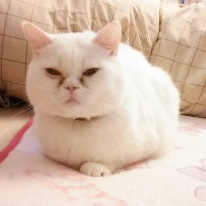 39de1b1a e0da 43be a7d9 5f909bfef5d1