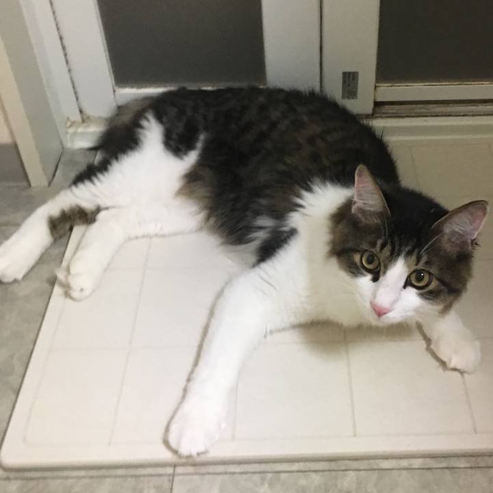 39de7092 d060 4df0 a903 1087fe8e85a3