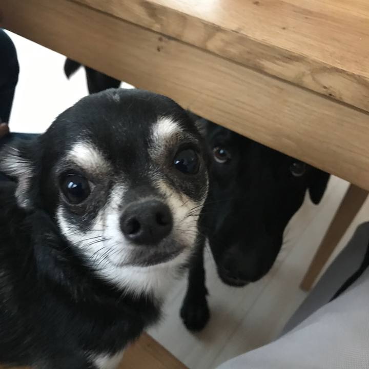 39deb37c 9a37 4ce9 ba0e 528ae9a2587d