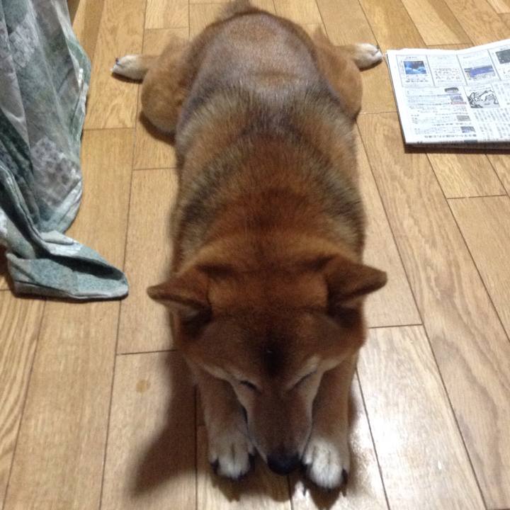 39df10ef 534c 4069 9e11 50739c50cb8f