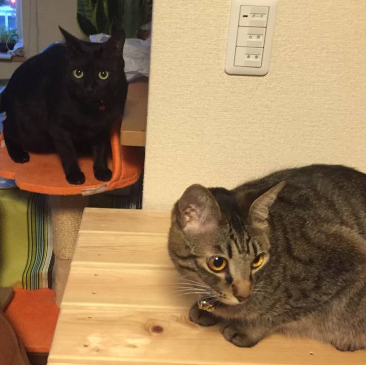 39df8e69 af7b 427a 9568 a8140b7f9120