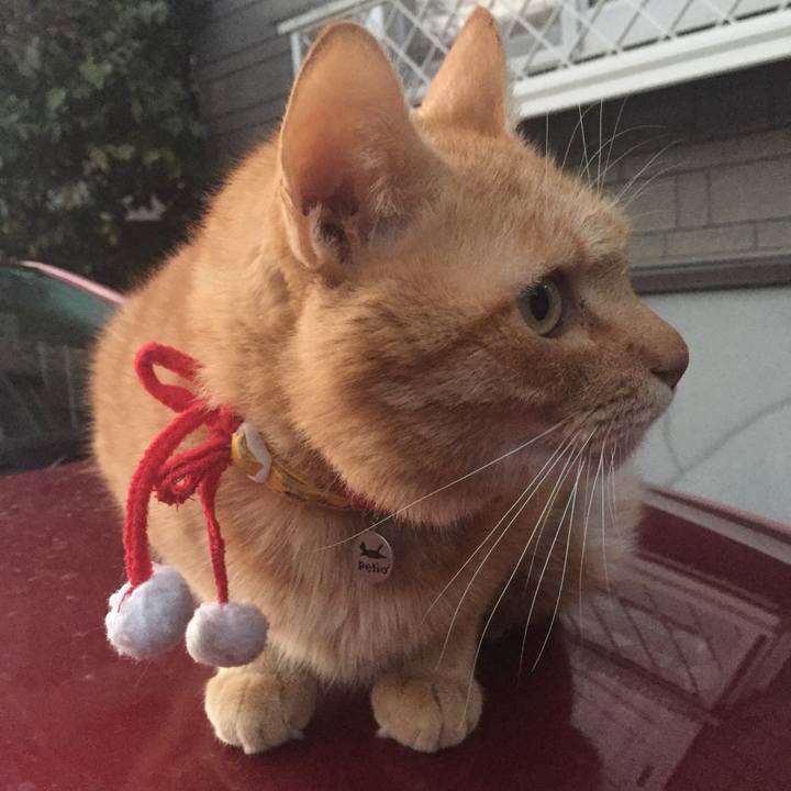 39dfc415 30bc 427c b4b6 88f249042fe5