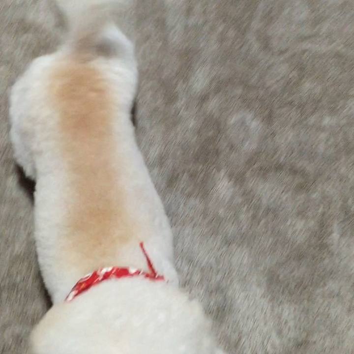 39e1a439 e0d2 4c01 b93d 41d8c29559e2