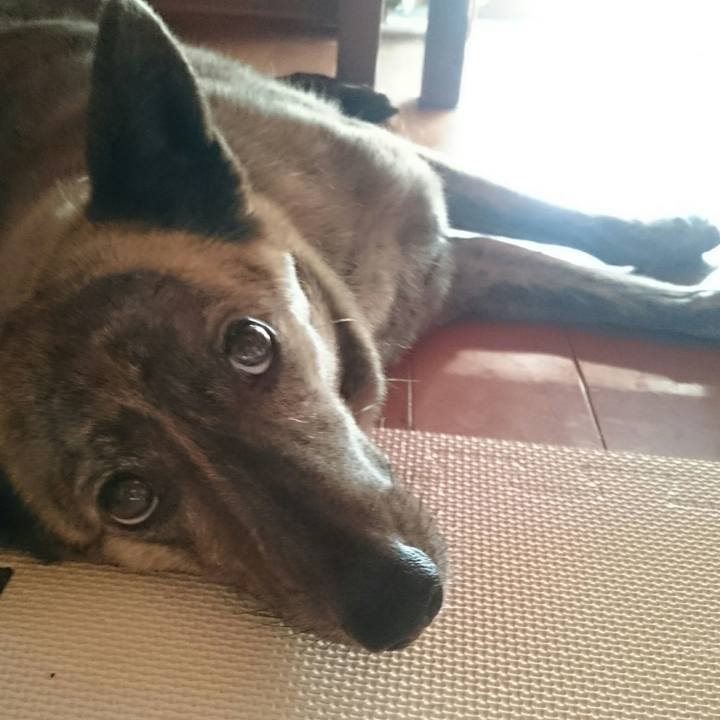 39e28437 4039 4d03 97ff 0d3788428df8