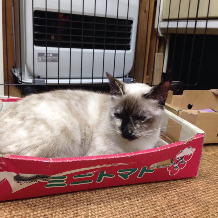 39e2fa81 c12e 4ebe 9a7f da7348f1296a