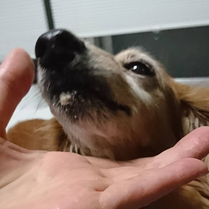 39e3392f 5697 4692 b470 eb9bdd7ebd6d