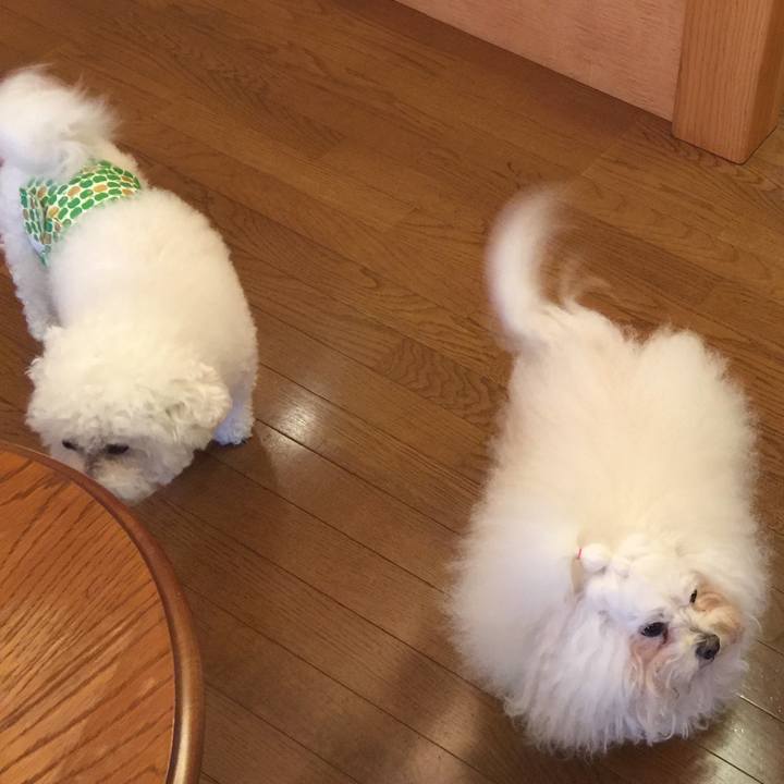 39e37e5e 7bf3 4883 912b 28f3b46c9c07