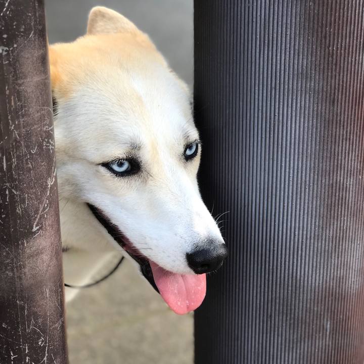 39e444db 0841 4800 8963 0ca26f7f8621