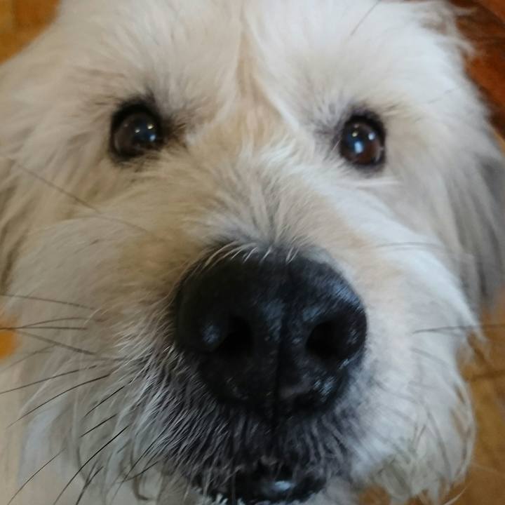 39e4c391 3edd 4e32 a7c9 5a5b1b8a9b09