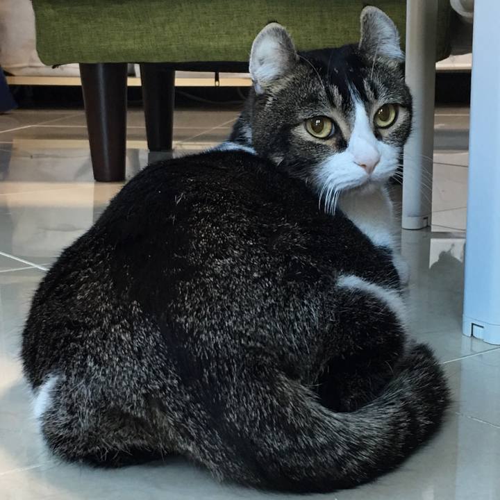 39e4fc27 ffa6 4f3c a8a8 530e9b13e850