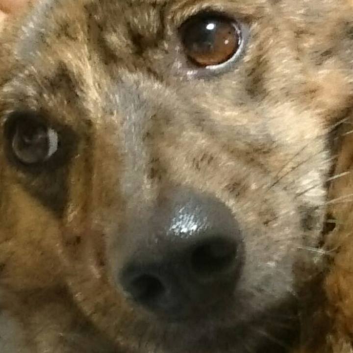 39e539a9 5f74 420d 8e4a f4c56189865d