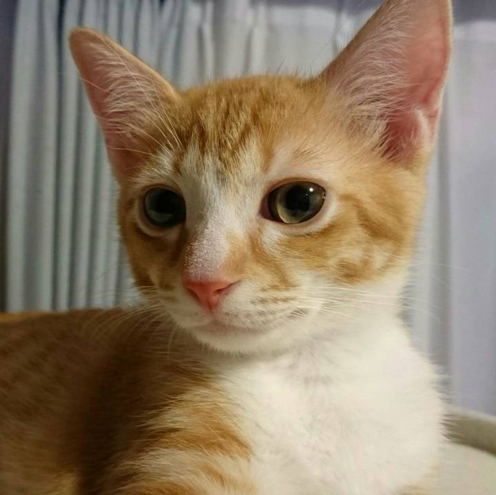 39e590cd 7160 4695 8dd7 ec6302cdae1d