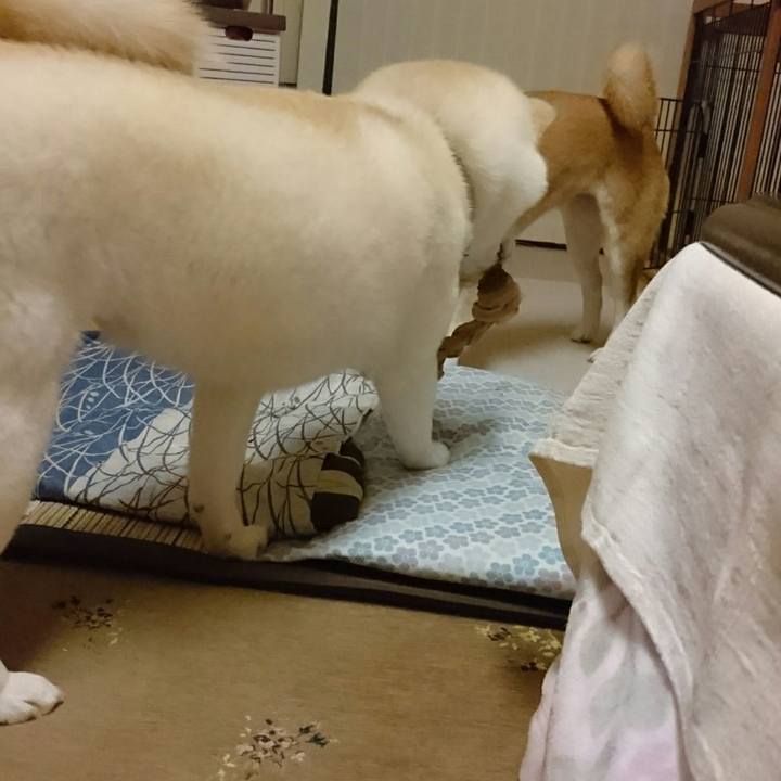 39e68932 b30b 4d52 ba38 beed7f1e3f7d