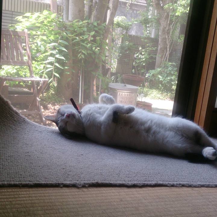 39e79876 c50c 414c 8bc5 de470a73ad36