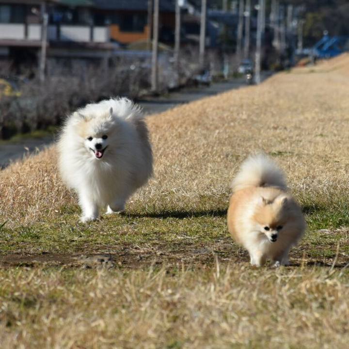 39e82347 baf1 44c3 ae03 a1e379a31eea