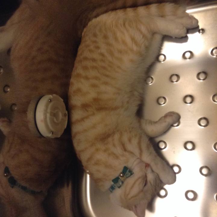 39e894a2 5f4e 4f13 96ec f0630533ac74