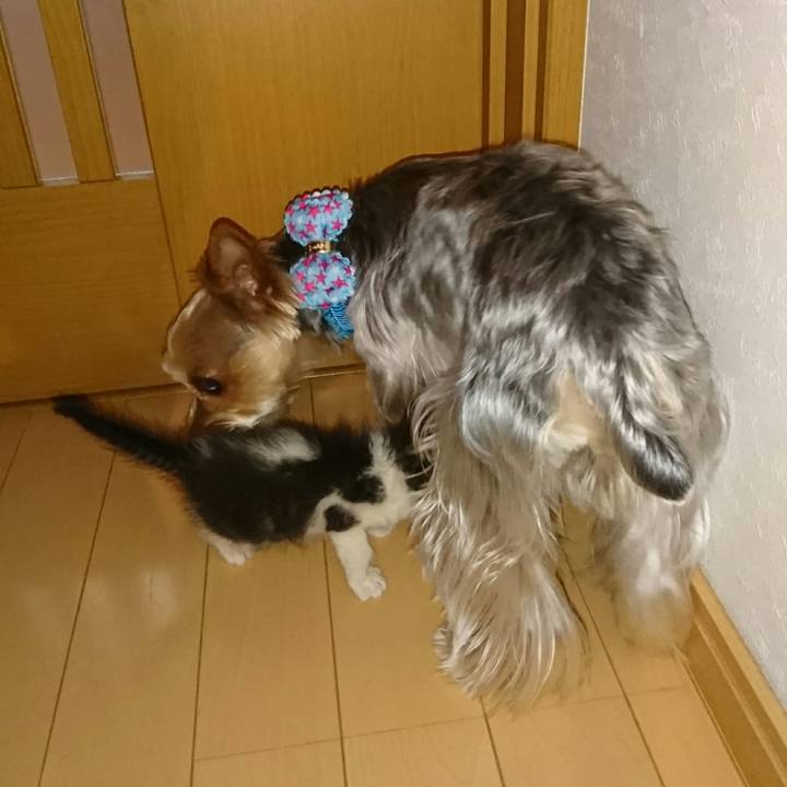 39e8ab05 9cd9 49e8 9fc1 bd9f26d76b84