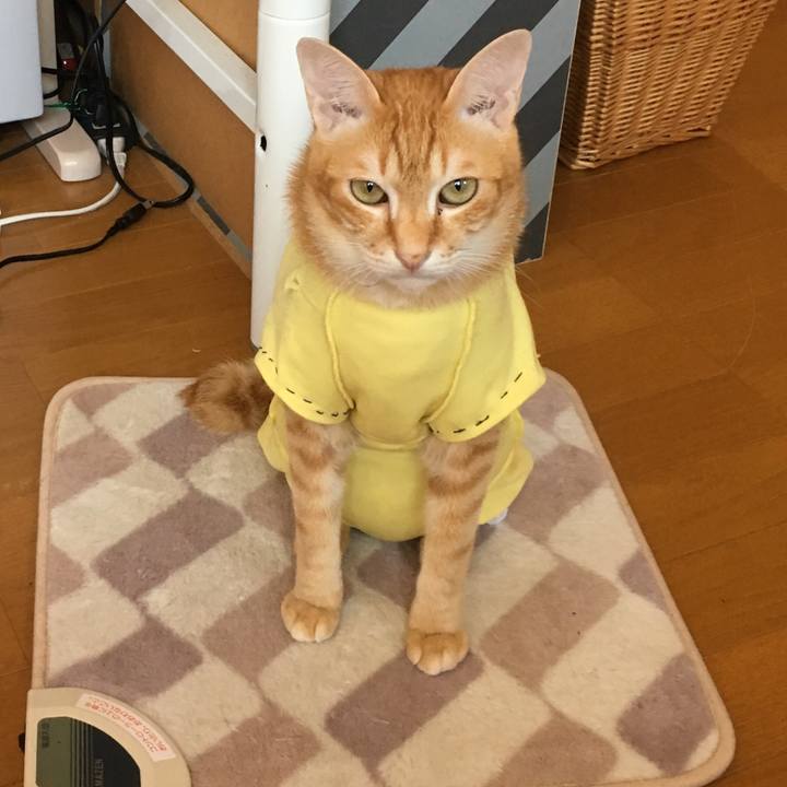 39e8d9c9 2324 465c a500 1b7f7ebd1f7c