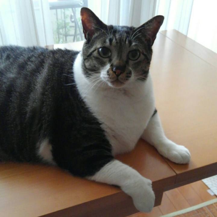 39e965a6 1545 40e0 9c4a 928d1b3c9b31