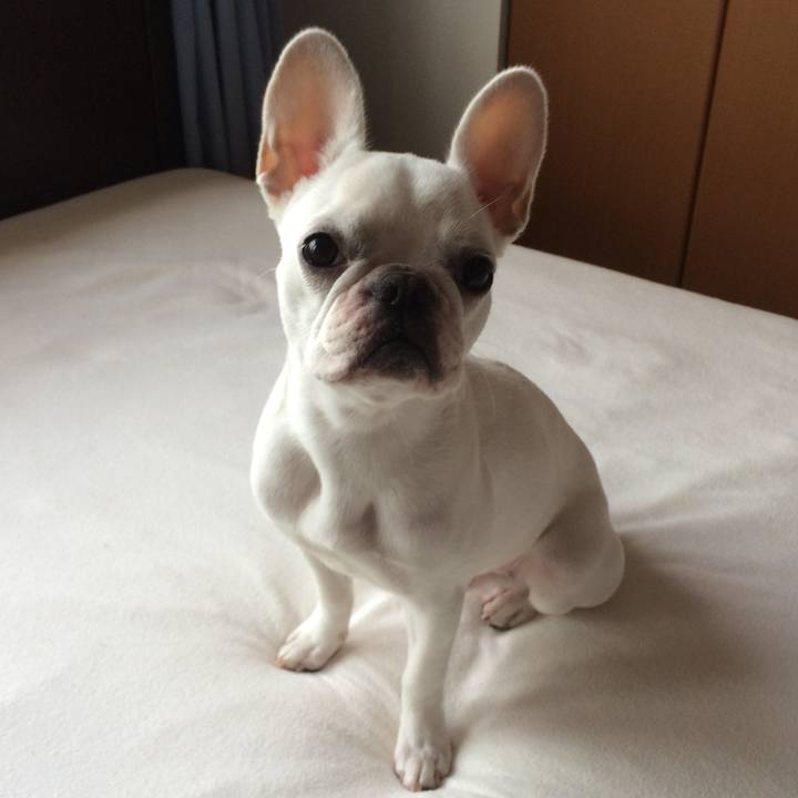 39e9b581 81e6 45fe bb56 84f7e2cccf1c